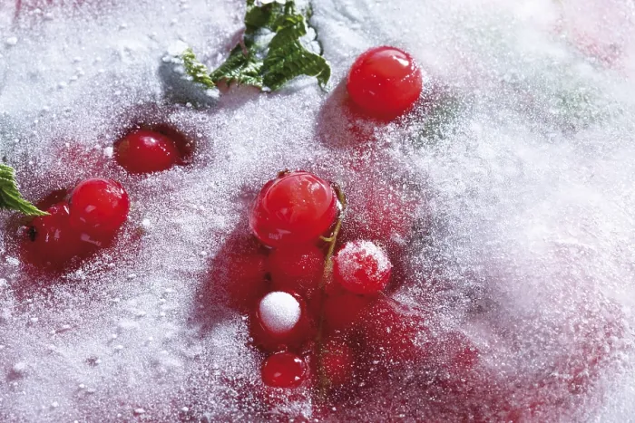 Framed Print : Frozen Red Currants Print Framed Print : Frozen Red Currants Print