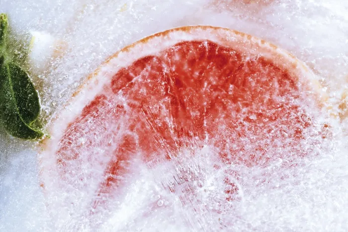 Framed Print : Frozen Ruby Grapefruit Print Framed Print : Frozen Ruby Grapefruit Print