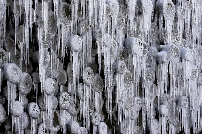 Framed Print : Frozen Stack of Logs, Icicles Print Framed Print : Frozen Stack of Logs, Icicles Print