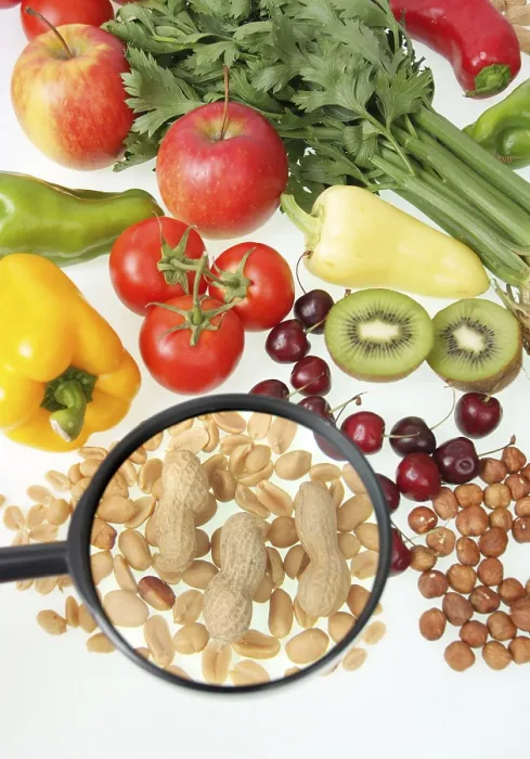 Framed Print : Fruits, vegetables and nuts under magnifier Print