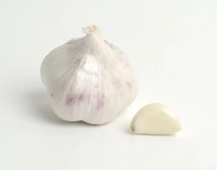 Framed Print : Garlic Print by imageBROKER Framed Print : Garlic Print by imageBROKER