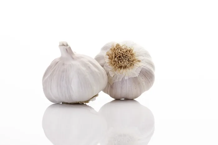 Framed Print : Two Garlic Bulbs Print Framed Print : Two Garlic Bulbs Print