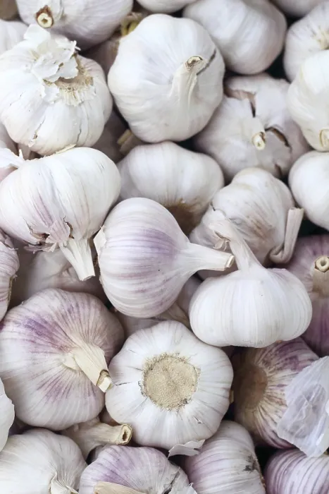 Framed Print : Garlic Pattern Print in Spanish Market Scene Framed Print : Garlic Pattern Print in Spanish Market Scene