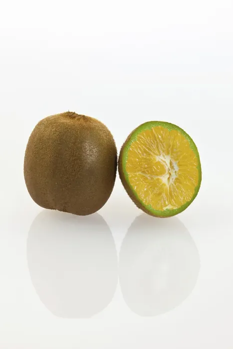 Framed Print : Genetically Modified Kiwi Fruit Print Framed Print : Genetically Modified Kiwi Fruit Print