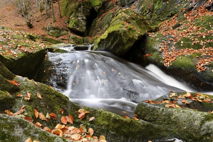 Framed Print : Bavarian Forest Waterfall Print Framed Print : Bavarian Forest Waterfall Print