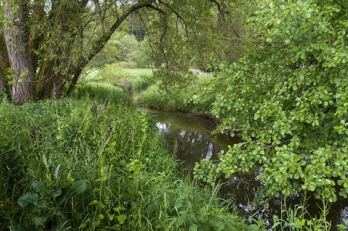 Framed Print : Germany, Greiz, Thuringia, Weidatal Print - River Landscape Framed Print : Germany, Greiz, Thuringia, Weidatal Print - River Landscape