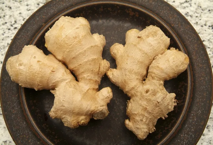 Framed Print : Ginger Ginger Print by imageBROKER