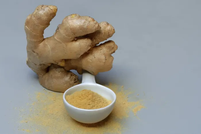 Framed Print : Ginger Root Print: Zingiber officinale Framed Print : Ginger Root Print: Zingiber officinale