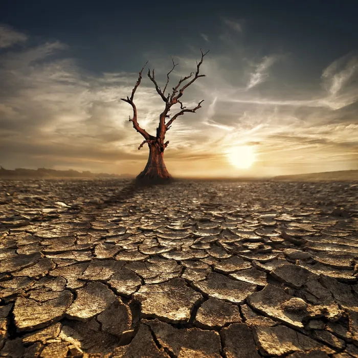 Framed Print : Global Warming Print: Desert Landscape with Dead Tree Framed Print : Global Warming Print: Desert Landscape with Dead Tree