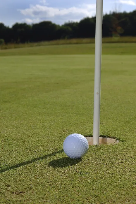 Framed Print : Golf Golf Print by ImageBROKER