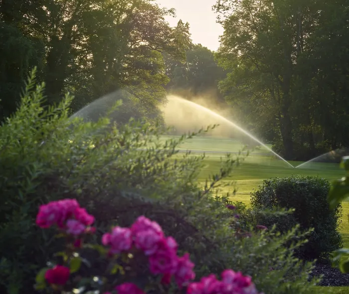 Framed Print : Golf Ground Print from imageBROKER Framed Print : Golf Ground Print from imageBROKER