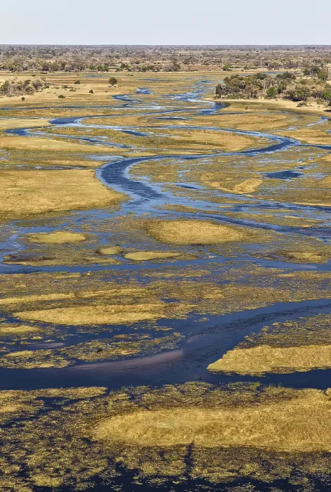 Framed Print : The Gomoti River Print, Okavango Delta, Botswana Framed Print : The Gomoti River Print, Okavango Delta, Botswana