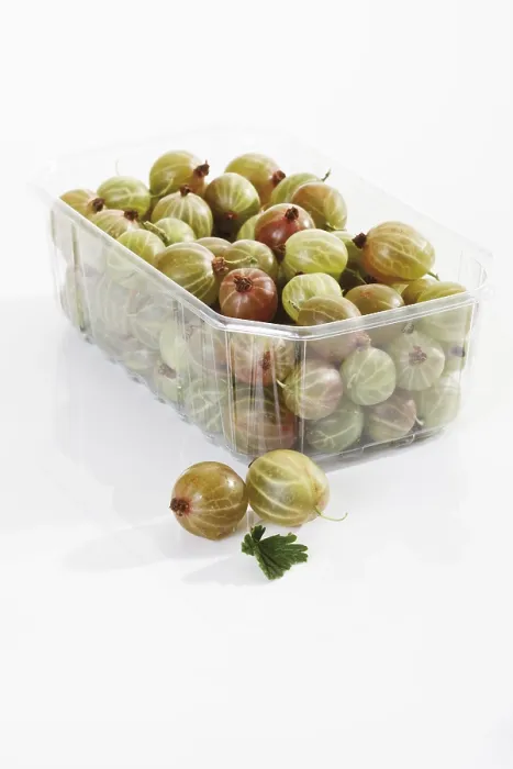 Framed Print : Gooseberries in a Small Plastic Container Print Framed Print : Gooseberries in a Small Plastic Container Print