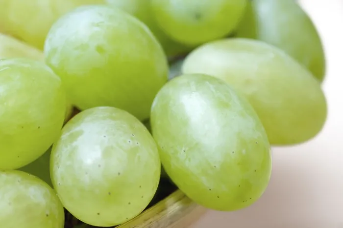 Framed Print : Grapes Print by imageBROKER Framed Print : Grapes Print by imageBROKER