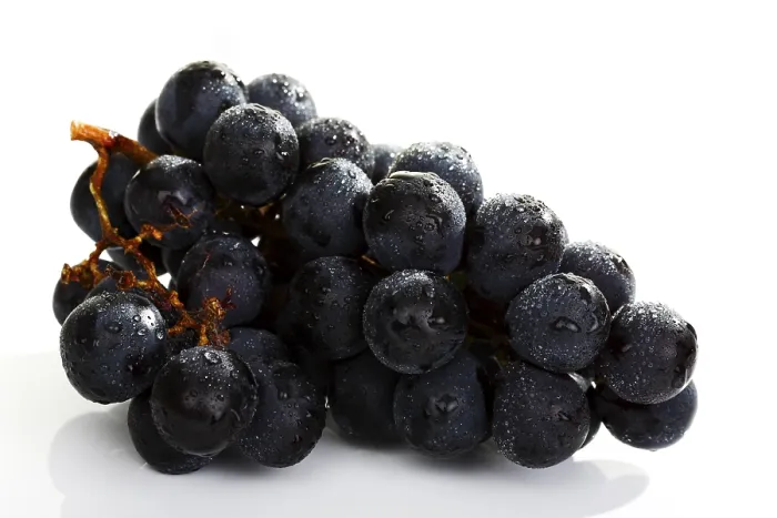 Framed Print : Grapes Print by ImageBROKER Framed Print : Grapes Print by ImageBROKER