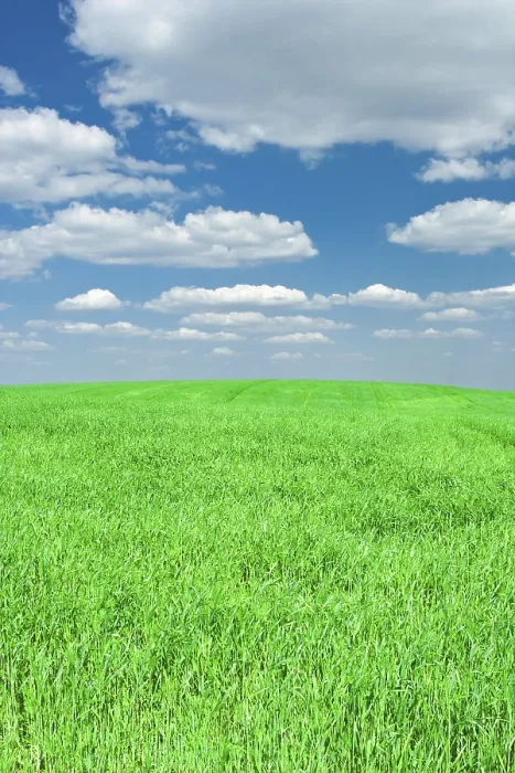 Framed Print : Grass and Sky Print Landscape Photography Framed Print : Grass and Sky Print Landscape Photography