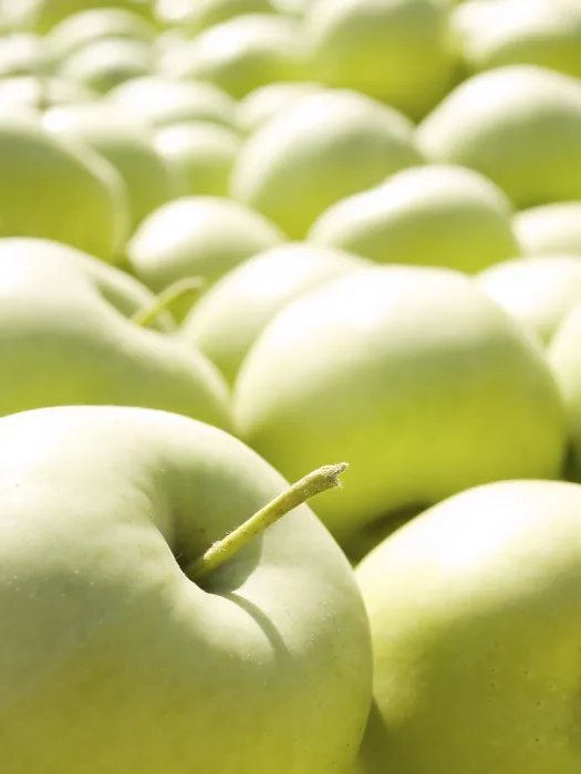 Framed Print : Green Apple Print Framed Print : Green Apple Print