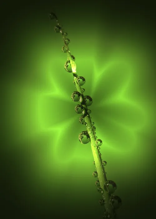 Framed Print : Green Drops Print by ImageBROKER