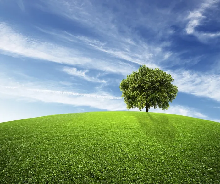 Framed Print : Green Environment Print