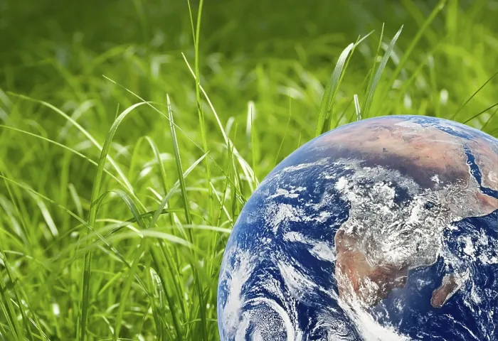 Framed Print : Green Grass and Earth Landscape Print