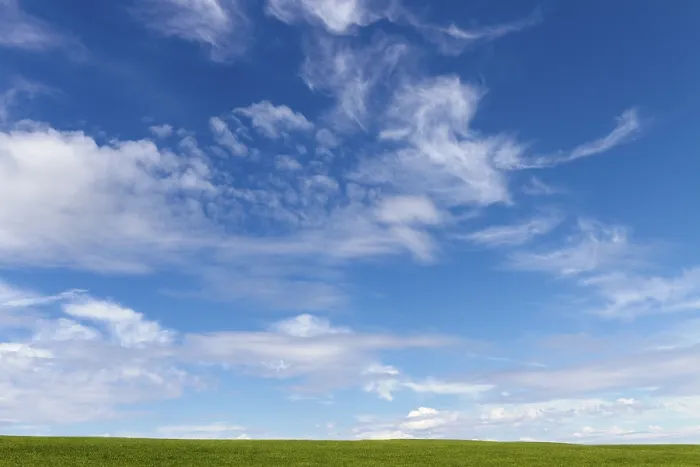 Framed Print : Green Grass and Sky with Clouds Print Framed Print : Green Grass and Sky with Clouds Print