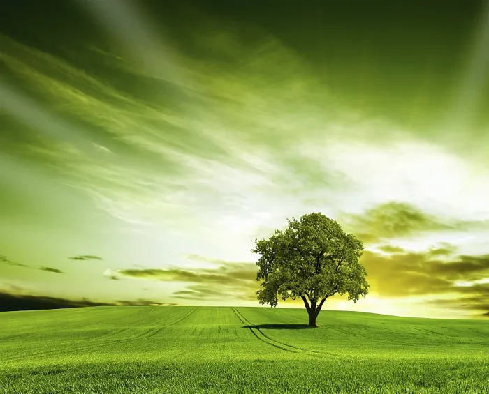 Framed Print : Green Landscape Print Framed Print : Green Landscape Print