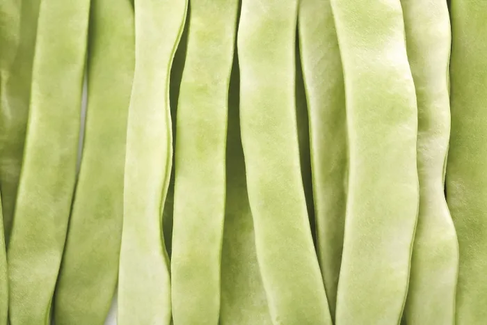 Framed Print : Green Pole Beans Print Framed Print : Green Pole Beans Print