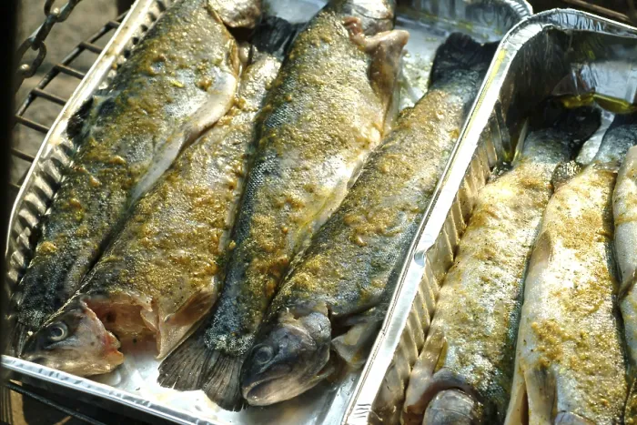 Framed Print : Grilled Trout Print Framed Print : Grilled Trout Print