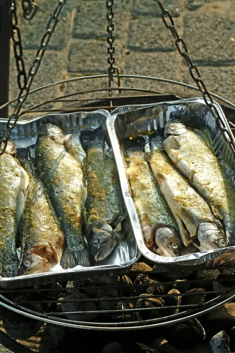 Framed Print : Grilled Trout Print Framed Print : Grilled Trout Print