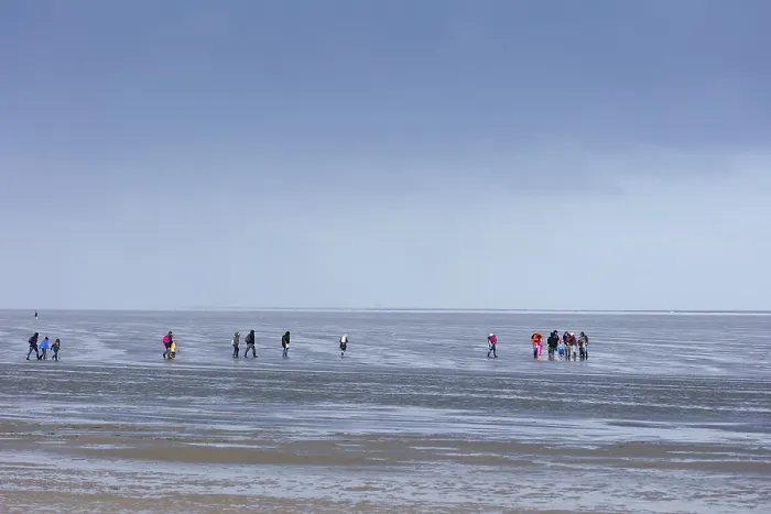 Framed Print : Mudflat Strollers in Cuxhaven Print