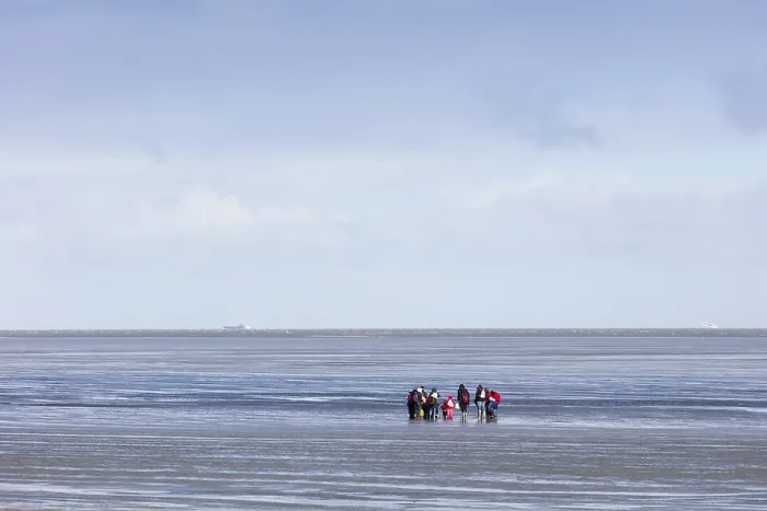 Framed Print : Mudflat Strollers in Cuxhaven, Germany Print Framed Print : Mudflat Strollers in Cuxhaven, Germany Print