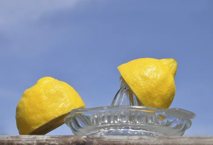Framed Print : Two Halves of a Lemon on a Squeezer Print Framed Print : Two Halves of a Lemon on a Squeezer Print