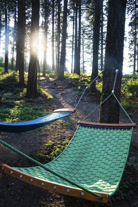 Framed Print : Hammock Print in Forest Landscape Framed Print : Hammock Print in Forest Landscape