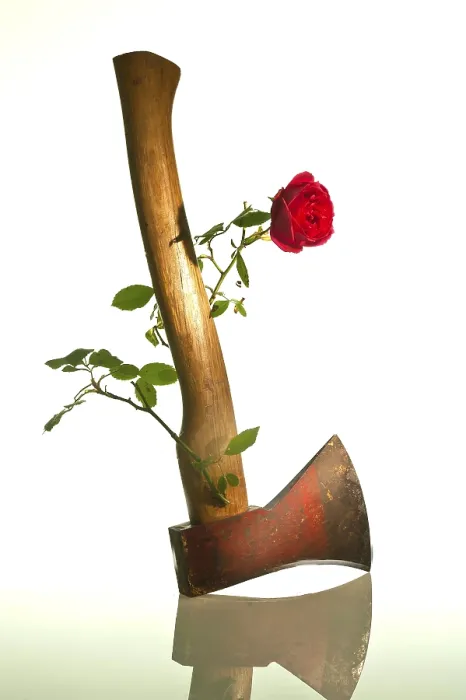 Framed Print : From the Handle of an Ax Sprouts a Rose Print Framed Print : From the Handle of an Ax Sprouts a Rose Print