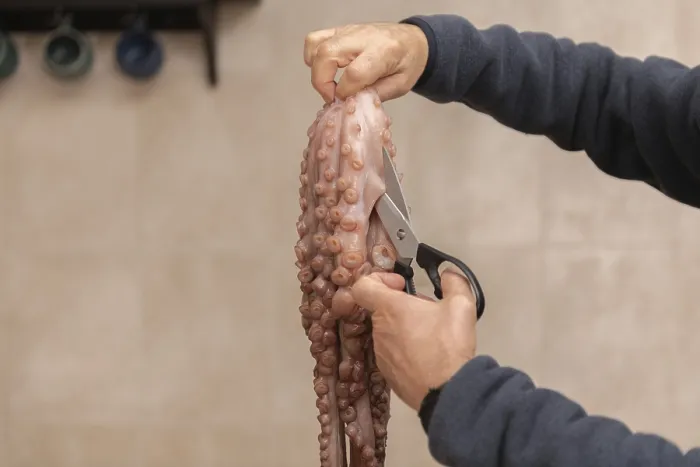 Framed Print : Hands Preparing Fresh Octopus in Kitchen Print Framed Print : Hands Preparing Fresh Octopus in Kitchen Print