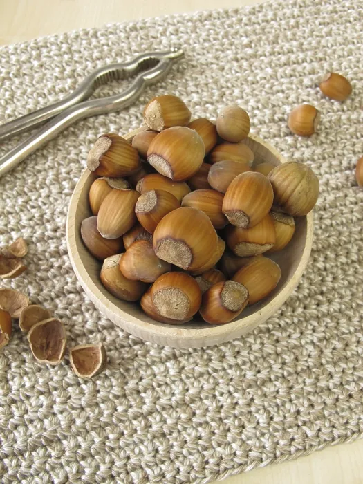 Framed Print : Hazelnuts Print - Aromatic Nut Harvest