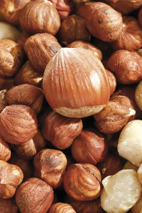 Framed Print : Hazelnuts Print, Full Format Framed Print : Hazelnuts Print, Full Format