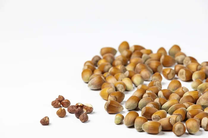 Framed Print : Hazelnuts in and without shell Print on White Background Framed Print : Hazelnuts in and without shell Print on White Background