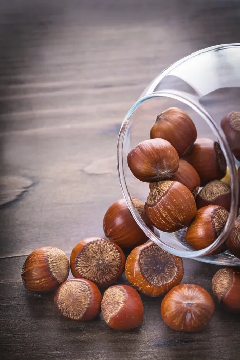 Framed Print : Hazelnuts in transparent jar Print Framed Print : Hazelnuts in transparent jar Print