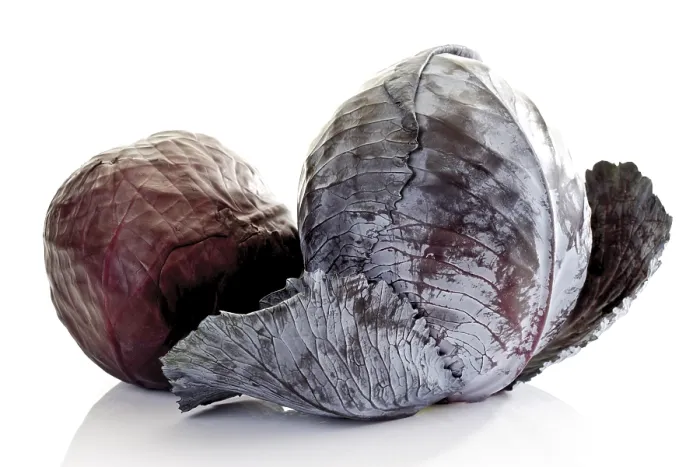 Framed Print : Two Heads of Red Cabbage Print