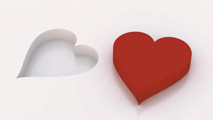 Framed Print : Two Hearts Print by ImageBROKER Framed Print : Two Hearts Print by ImageBROKER