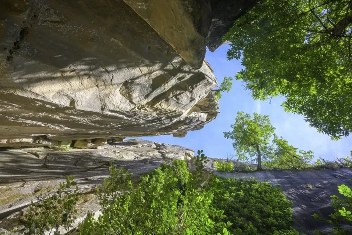 Framed Print : High Cliffs and Defying Tree Print, France Framed Print : High Cliffs and Defying Tree Print, France