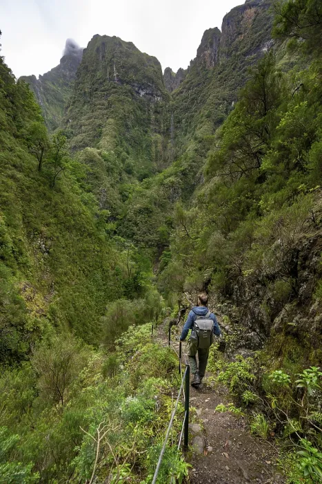 Framed Print : Hikers on a Levada Path, Madeira Print Framed Print : Hikers on a Levada Path, Madeira Print