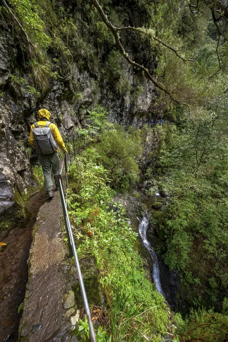 Framed Print : Hikers on a Levada Path Print, Madeira, Portugal Framed Print : Hikers on a Levada Path Print, Madeira, Portugal