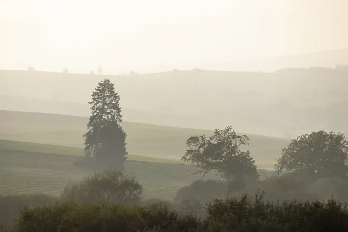 Framed Print : Hills and Trees Evening Light Print, Hegau Region, Germany