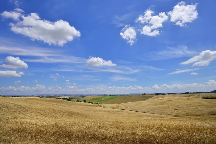 Framed Print : Hilly Landscape Print with Cornfields and Clouds, Tuscany, Italy Framed Print : Hilly Landscape Print with Cornfields and Clouds, Tuscany, Italy