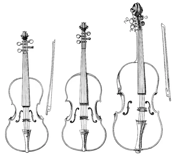 Framed Print : Historical String Instrument Print Collection