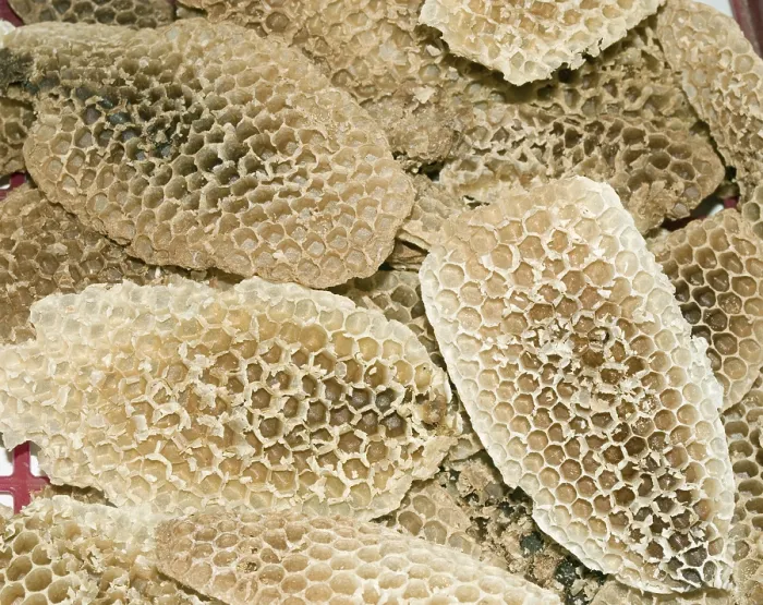 Framed Print : Honeycombs Print by ImageBROKER Framed Print : Honeycombs Print by ImageBROKER