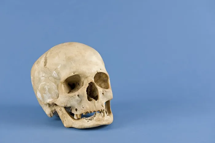 Framed Print : Human Skull Print Framed Print : Human Skull Print