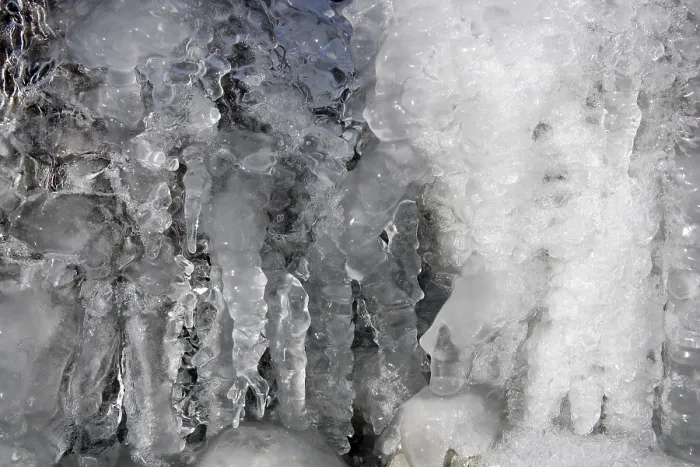 Framed Print : Ice Ice Baby Print Framed Print : Ice Ice Baby Print